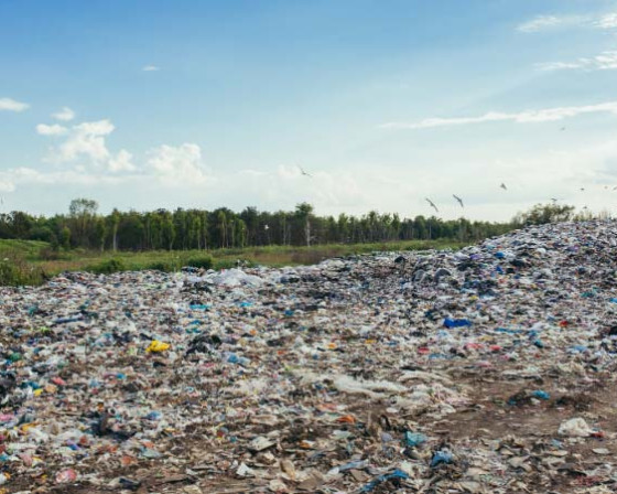 Ambiente, territorio e circolazione